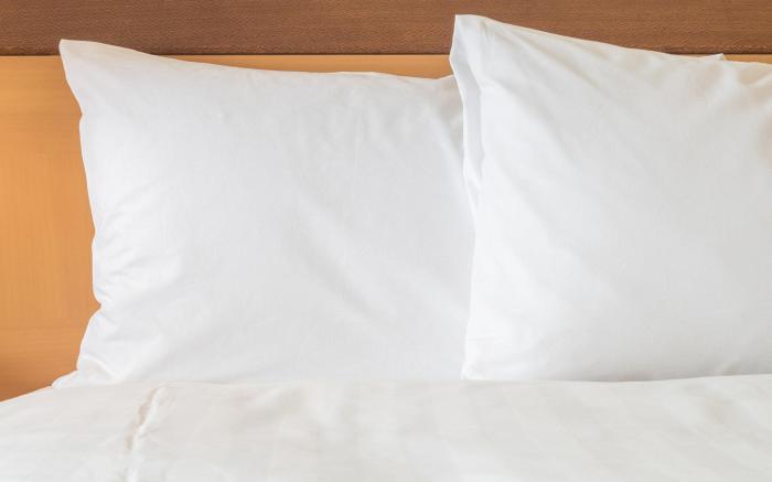 Holiday Inn Express Rochester - University Area