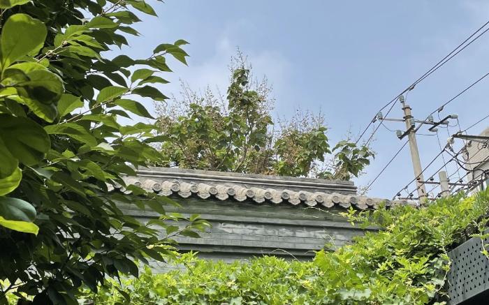 Qiuguo Hutong Courtyard Hotel)