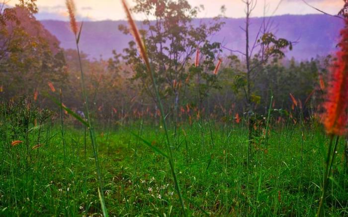 Hug Doi Homestay Chiang Rai 