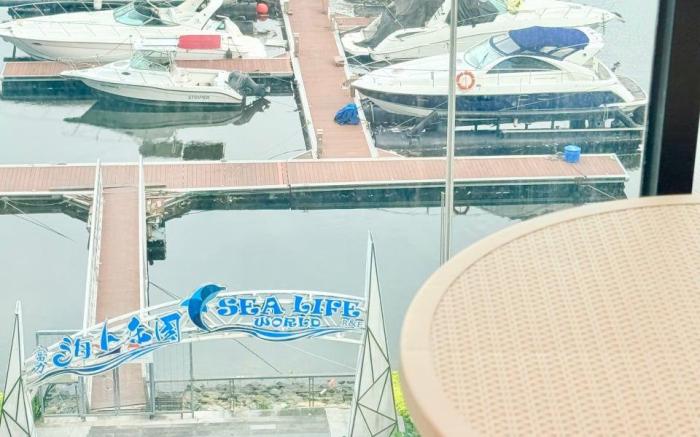 Dreamscape Seaview Studio R&F Seine Region By ANJU