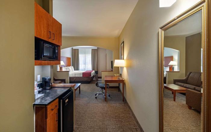 Comfort Suites North Dallas