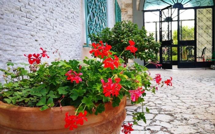 Il Trullo dell'Immacolata, Fasano