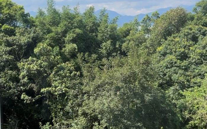 禾必宓山