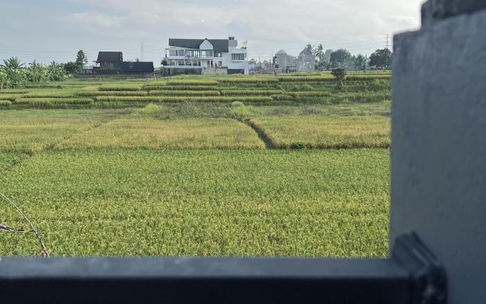 Lumbung Kembar Guest House, Nyanyi