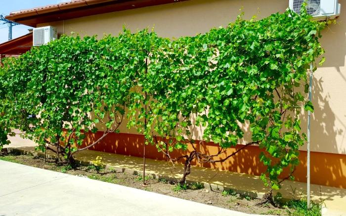 Hajdu Nova Apartman