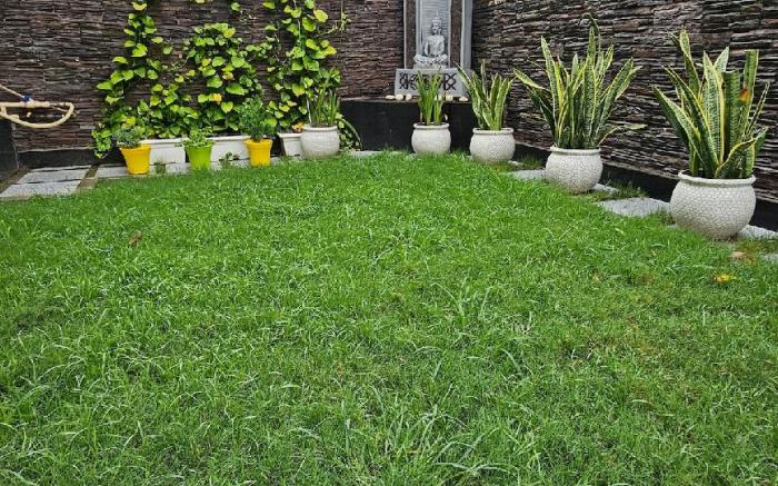 Elegant 3BHK home with lawn near India Expo Mart