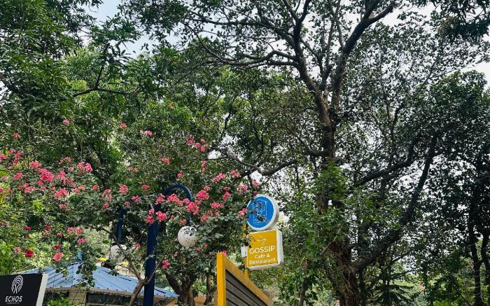 ECHOS HOTEL Rishikesh