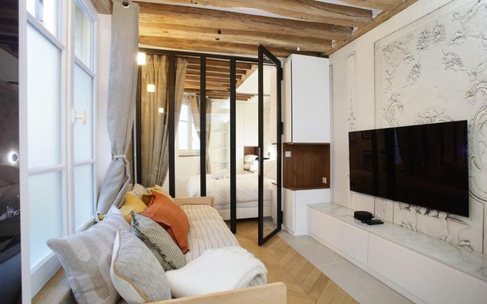 Superb apartment Place des Vosges Le Marais