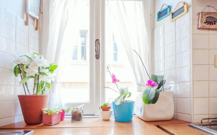 A Secret Corner - Pantheon Colosseum Forum Trevi
