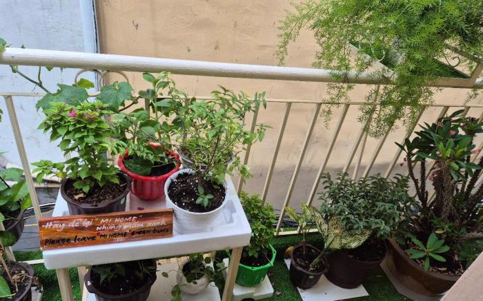 Mị HOMESTAY SÀI GÒN (HỒ CHÍ MINH)