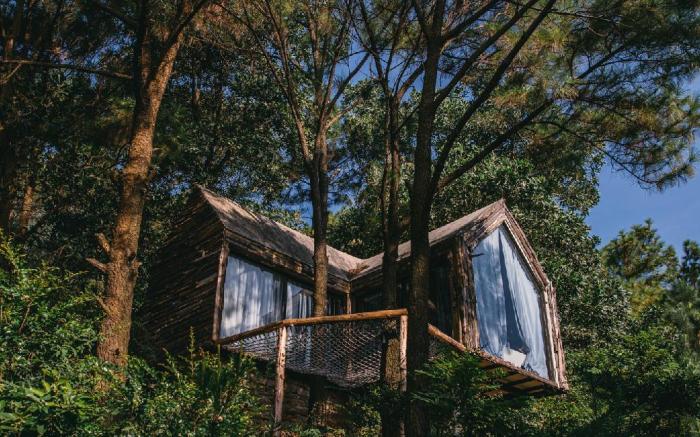 The Big Pine House