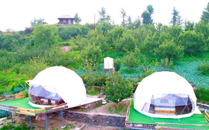 The Astro Orchard  