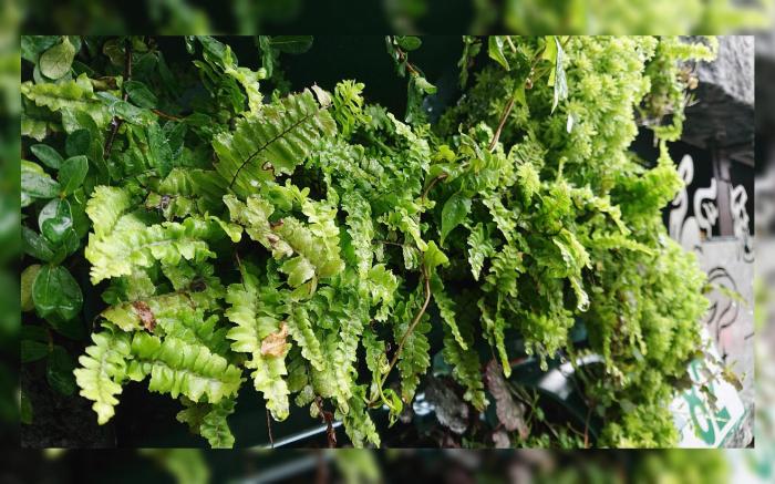 82 Traveler  elevator Inn  3-2