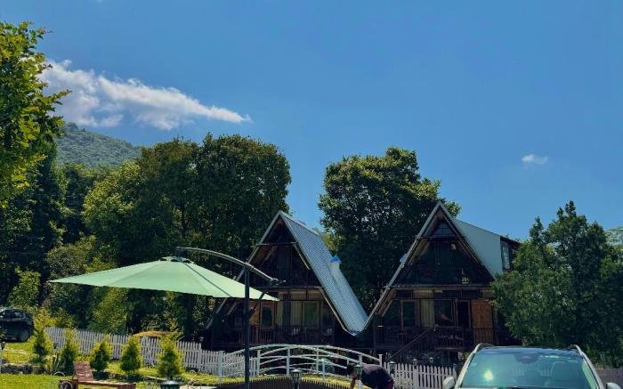 Dreamwoods by Viraasat-E-Bir