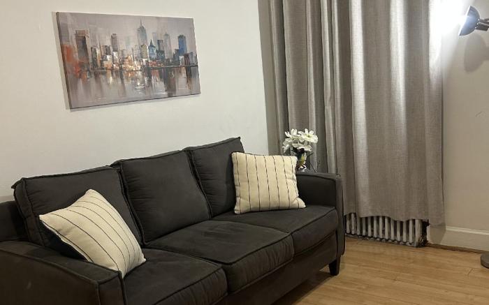 Cute convenient clean  Brooklyn Apt    
