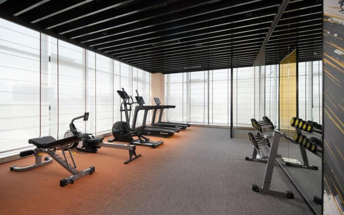 Guangzhou Baiyun Airport Cultural Tourism City Hilton Hotel