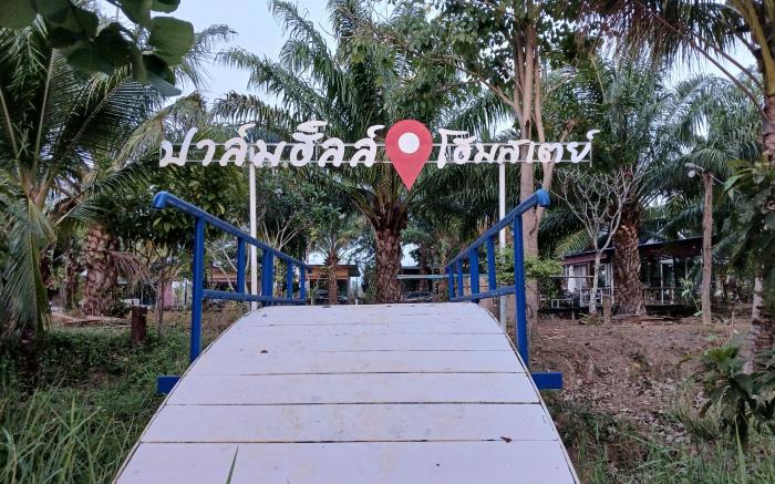 Palmhill homestay & cafe