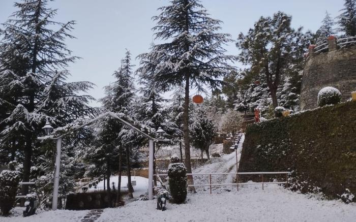 Himgiri Nature Retreat