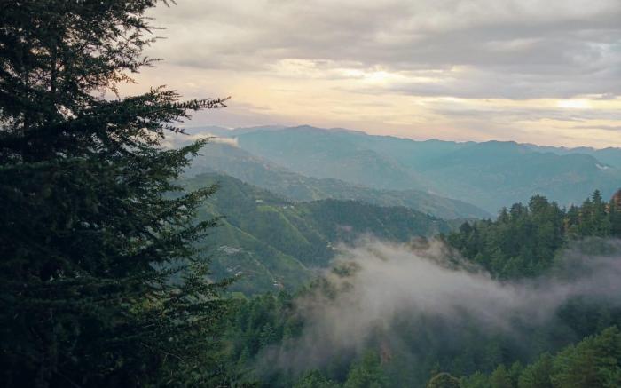 Sunrise Homestay Stay