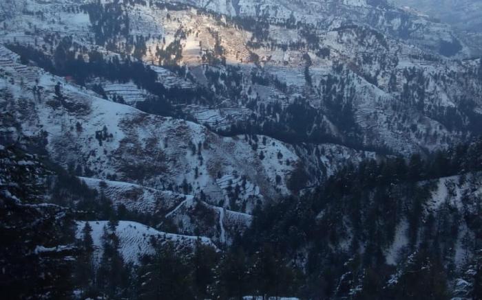 Sunrise Homestay Stay