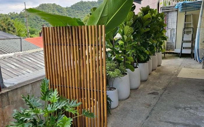 Backyard 小後苑包棟民宿。被森林山野環抱的謐靜老宅