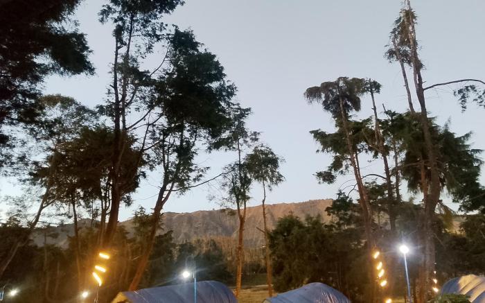 Dieng Glamping Syriah