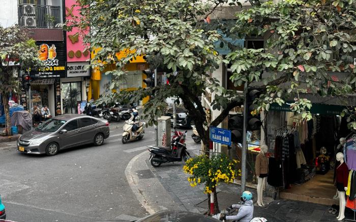 IL Divo Hostel & Spa Hang Đao