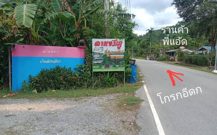 Lan Chomphu Homestay & Tent Camping, Cha-Om, Kaeng Khoi, Saraburi Province, Thailand