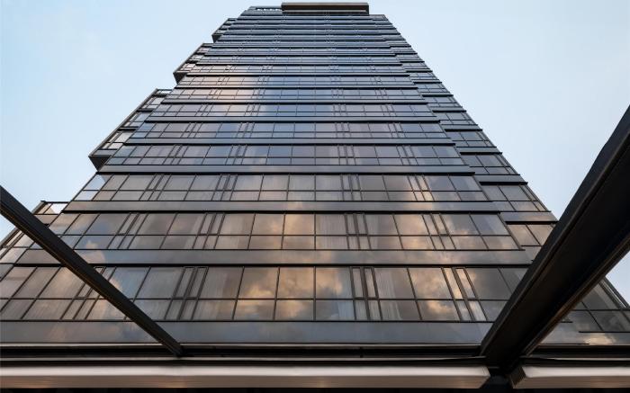 York Medellin, Curio Collection by Hilton