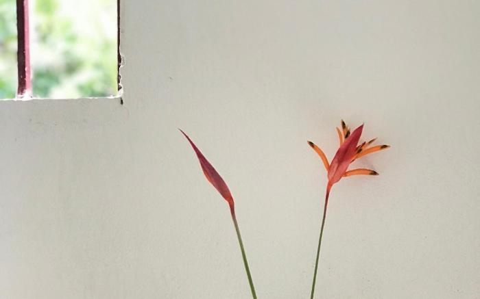 Bến Tre Homestay