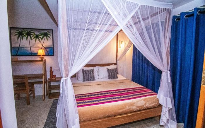 Calathea inn Unawatuna. 