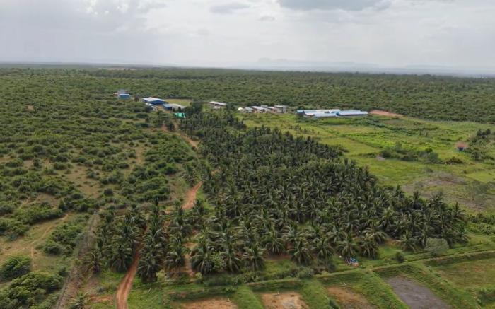 Mythwish Resort and Farms