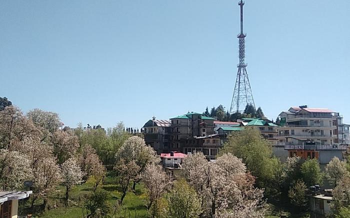 Tranquil trails home stay naddi