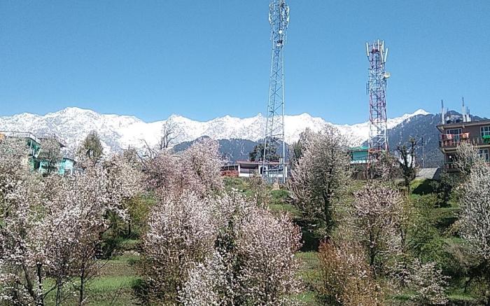 Tranquil trails home stay naddi