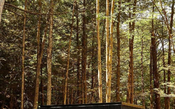 Postcard Cabins Eastern Catskills