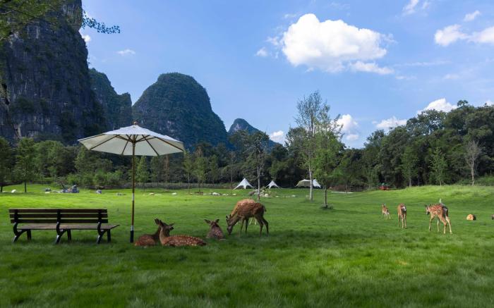 Yangshuo Yingman B&B