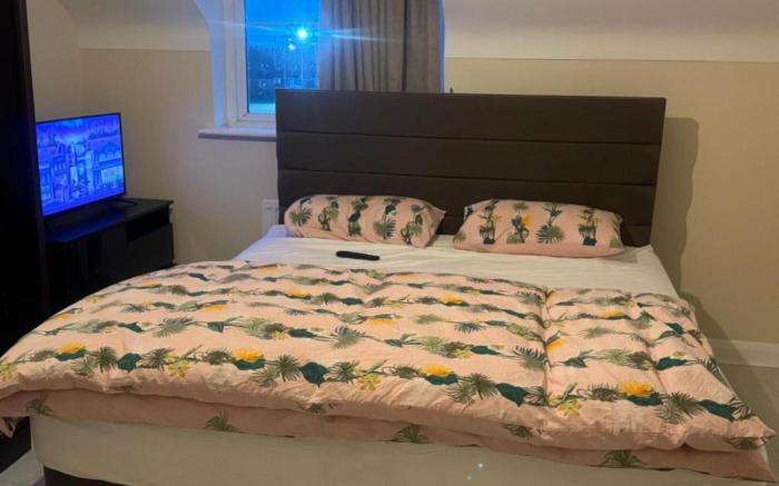 Komegloba Mega room