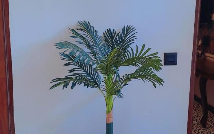 Hotel Ambika Chirwa House