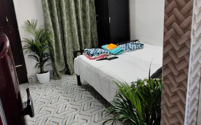 Tulip homestay.