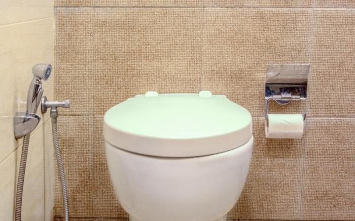 Hotel Dreamland Chandigarh