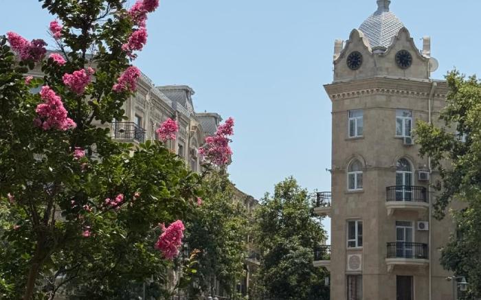 Alina Home Baku hostel