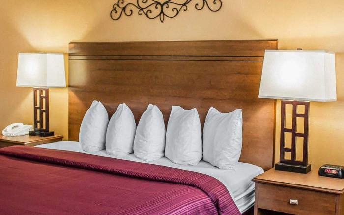 Quality Inn & Suites Downtown