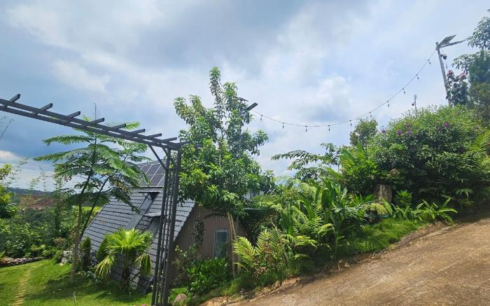 IFK GARDEN