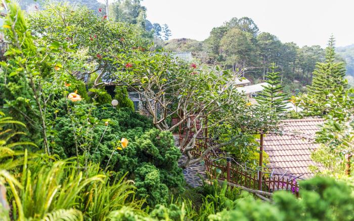 Zen Valley Dalat Resort