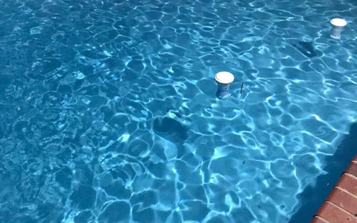 Robert's Place Paarl 