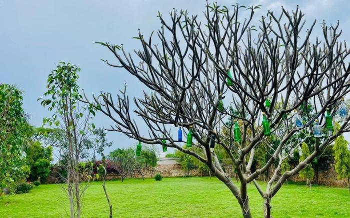 The Grand Farm House Gurguram 