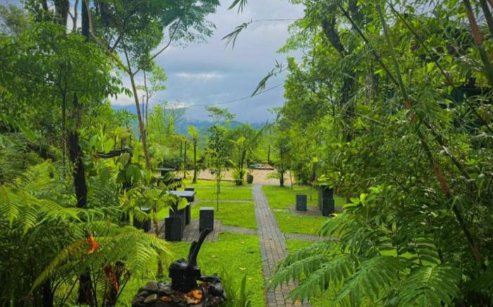 The Secret Garden at Mist of Sinharaja