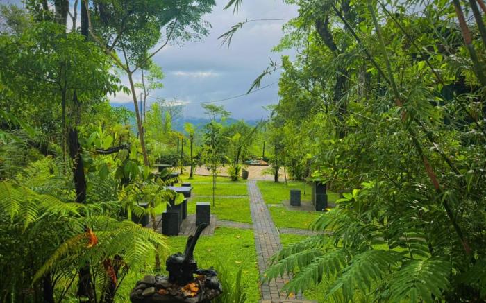 The Secret Garden at Mist of Sinharaja