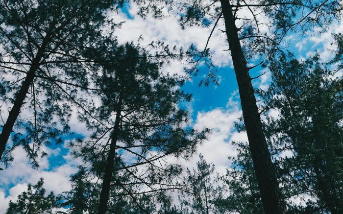 Hotel Oscar Mountain Retreat