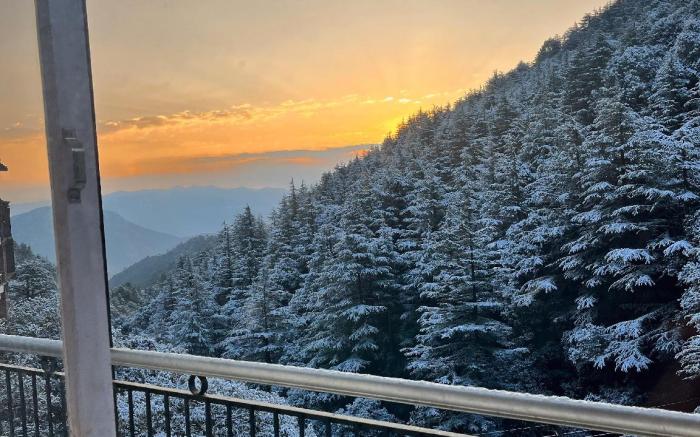 Pahadi Zayka Homestay